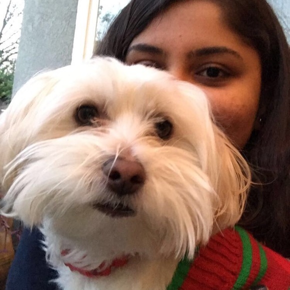 Hi Poshers! - Picture 3 of 4